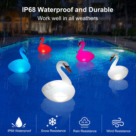 Goallim Swan solar lights auto change colors every 15 seconds for a dynamic display.