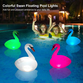 Goallim Swan pool light solar charging in direct sun for night display
