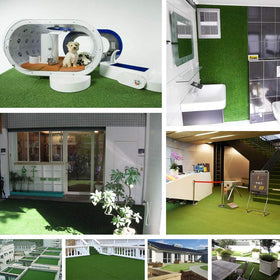 Goasis Lawn easy-installation setup lets you refresh spaces quickly.