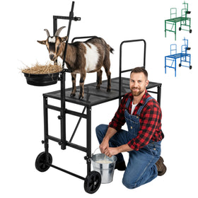 Goatzy Goat Stand with adjustable headpiece for secure trimming and grooming.