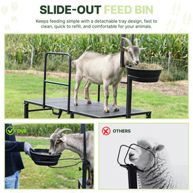 Goatzy Goat Stand ready for milking, shearing, or hoof trimming tasks.