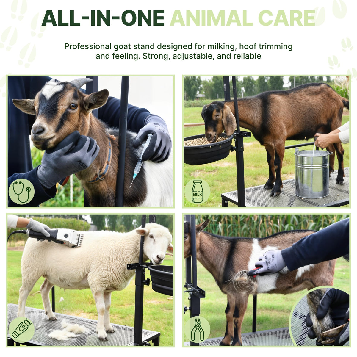 Goatzy Goat Stand sturdy platform for sheep and goat handling.