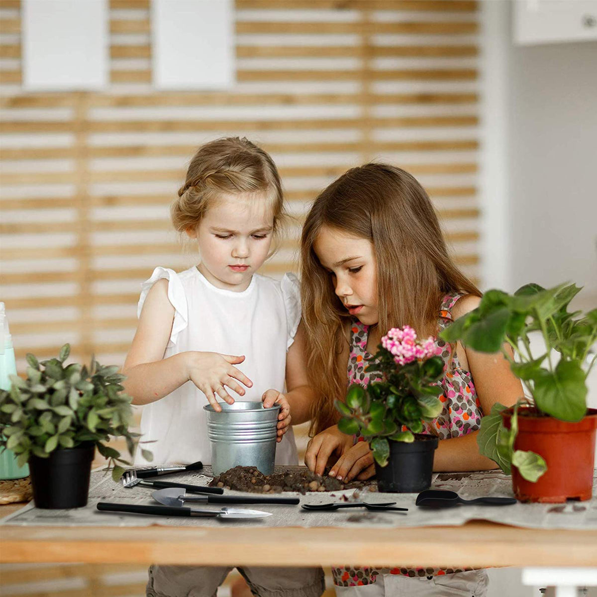 Godehone succulent-tools-set-transplant-tools: precise tools for gentle potting and root access.