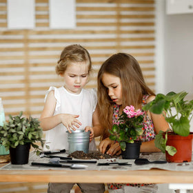 Godehone succulent-tools-set-transplant-tools: precise tools for gentle potting and root access.