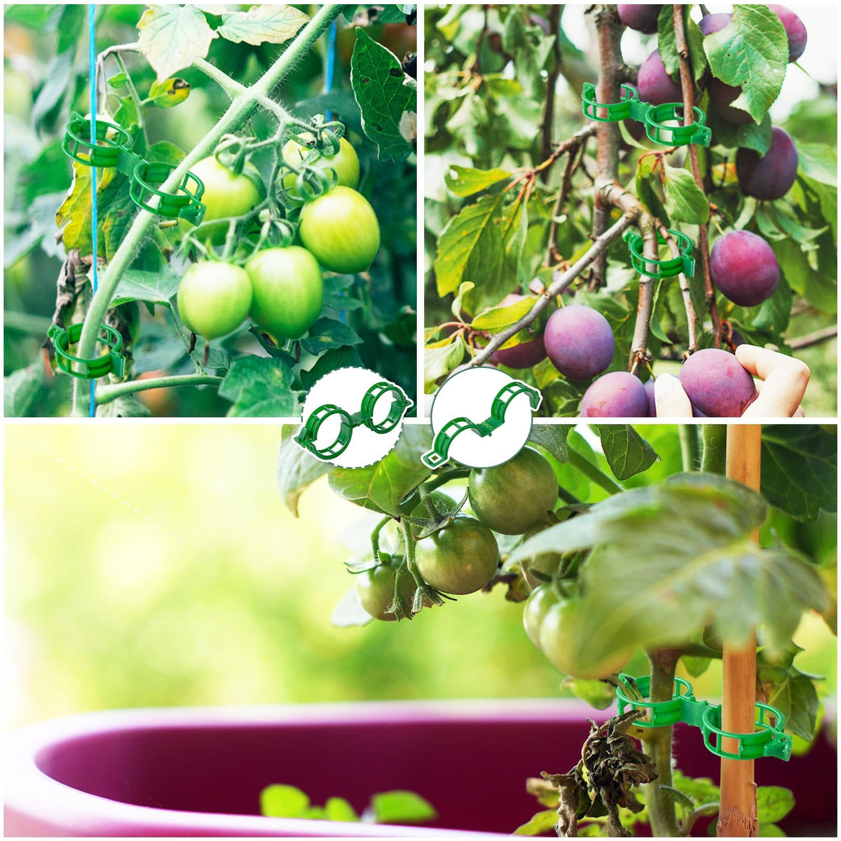 GOFULLHOME versatile clips for grafting, tying vines, and hanging on trellises