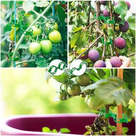 GOFULLHOME versatile clips for grafting, tying vines, and hanging on trellises