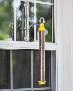 Goldfinches and chickadees at feeders in backyard.