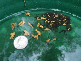 Goldn Paydirt pan-session setup demonstrates practical treasure hunting use.