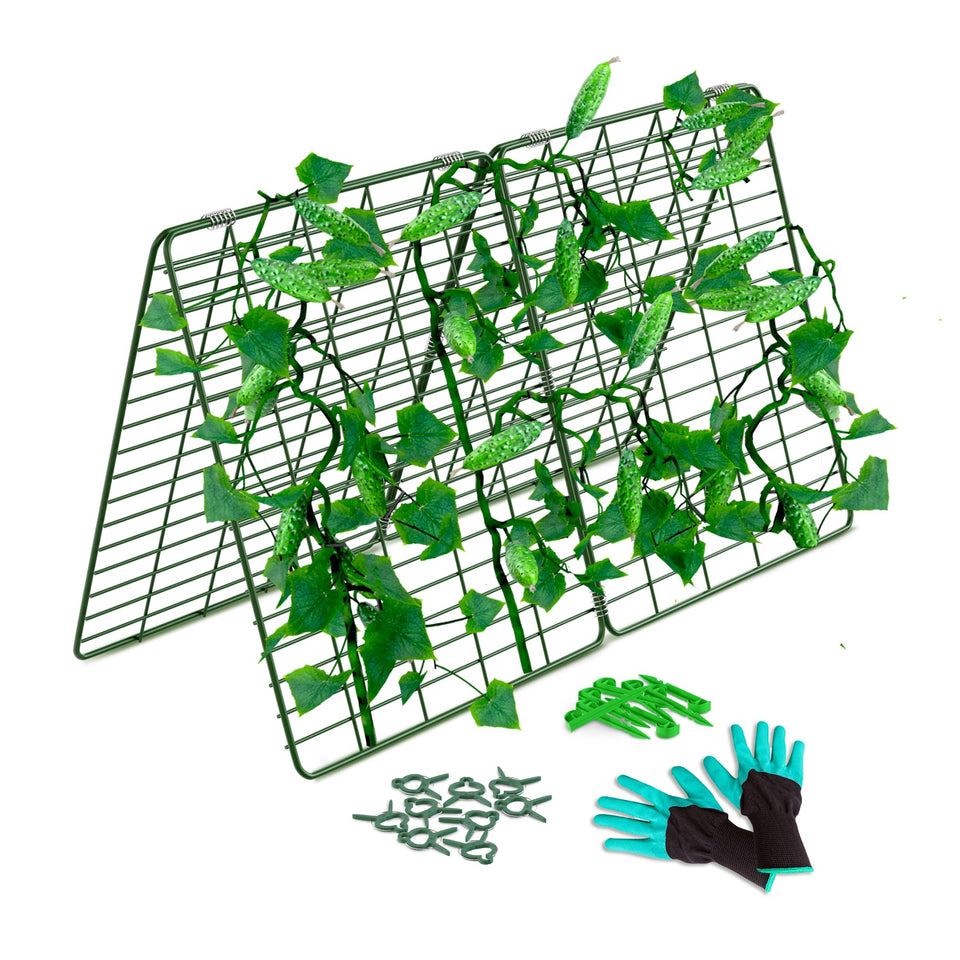 GOLETIO cucumber trellis assembled in raised bed supports climbing vines