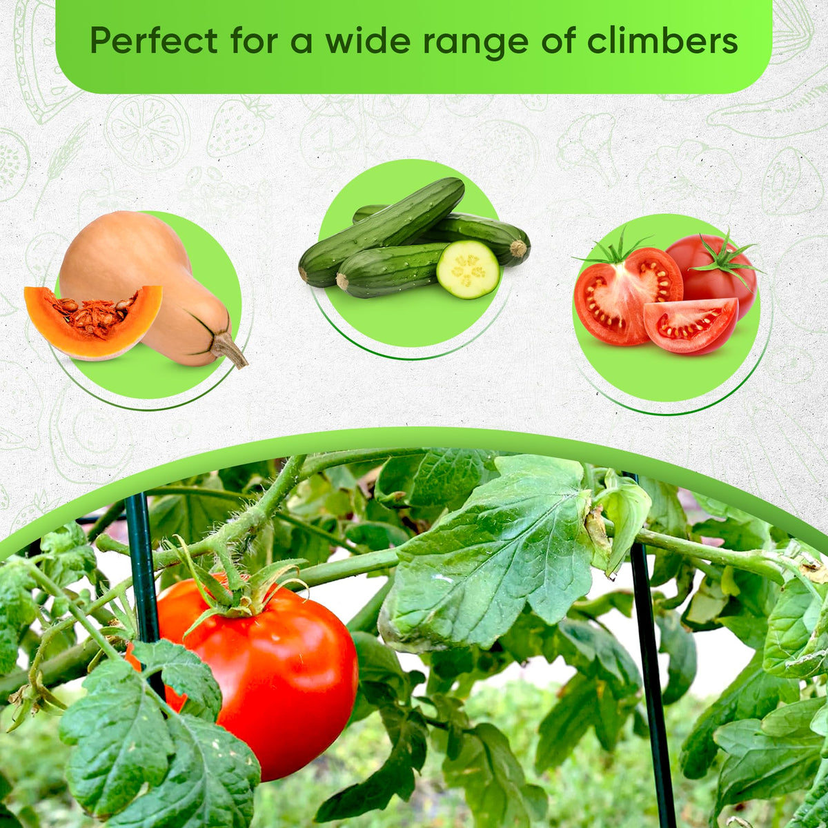 GOLETIO cucumber trellis raised bed setup in outdoor garden