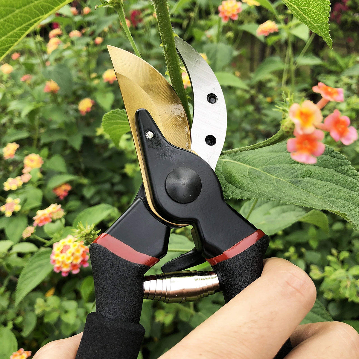Gonicc blade with anti-rust oil adds corrosion protection