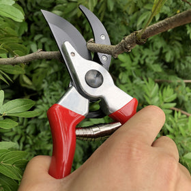 Gonicc bonsai trimming with 8inch bypass shears for delicate shaping.