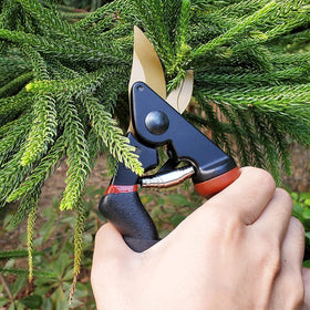 Gonicc locking mechanism enables easy adjustment and secure closure