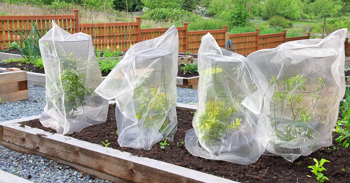 GonLei six-pack garden netting bundle covers multiple garden spots