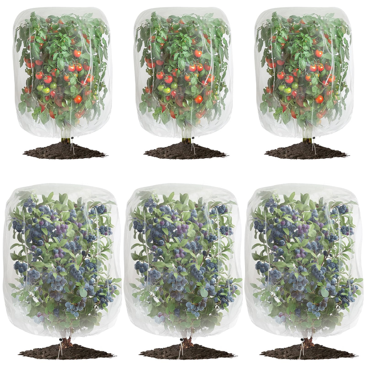 GonLei 6-pack garden netting on a small plant with drawstring for easy pest protection