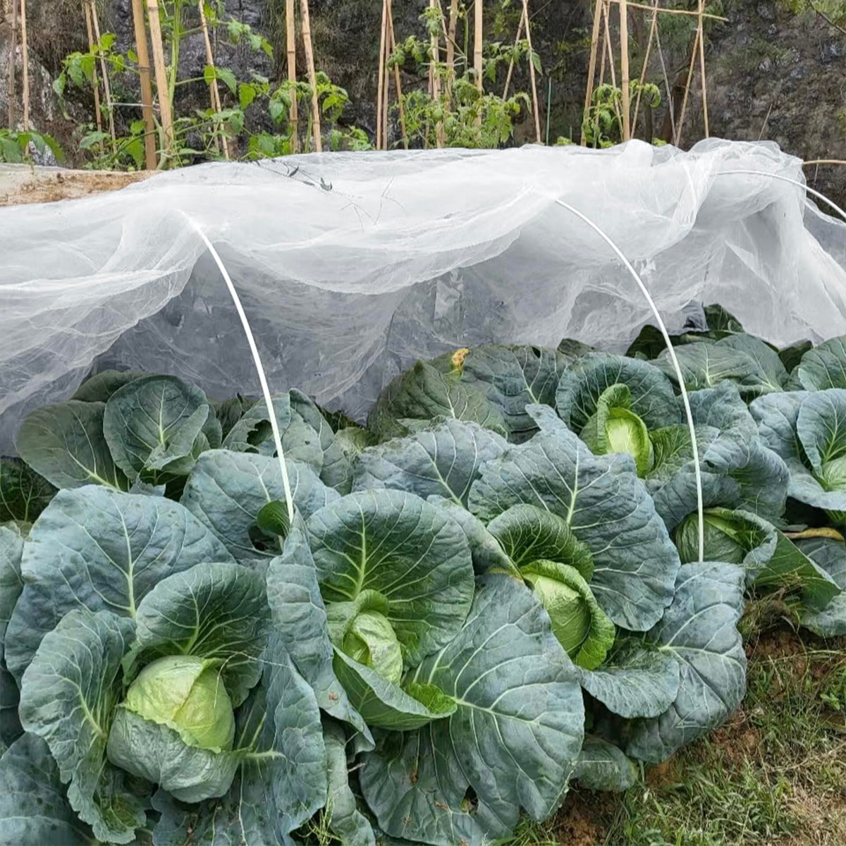 GonLei garden netting can be cut to size for flexible layout and placements.