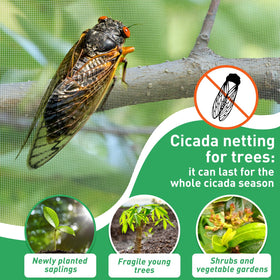 GonLei pest barrier netting guards flowers and crops without blocking light or pollinators.