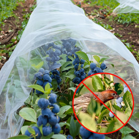GonLei raised-bed netting covers vegetables to shield sprouts from rabbits and squirrels.