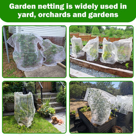 Netting covers fruit trees and blueberry bushes effectively with GonLei