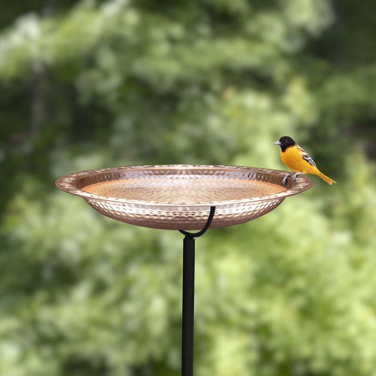 Good Directions BBG18 copper bird bath with garden pole ready for installation