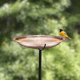 Good Directions BBG18 copper bird bath with garden pole ready for installation