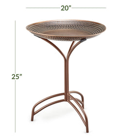 Good Directions Tranquility Birdbath bronze finish brings durable, elegant outdoor appeal to any yard.