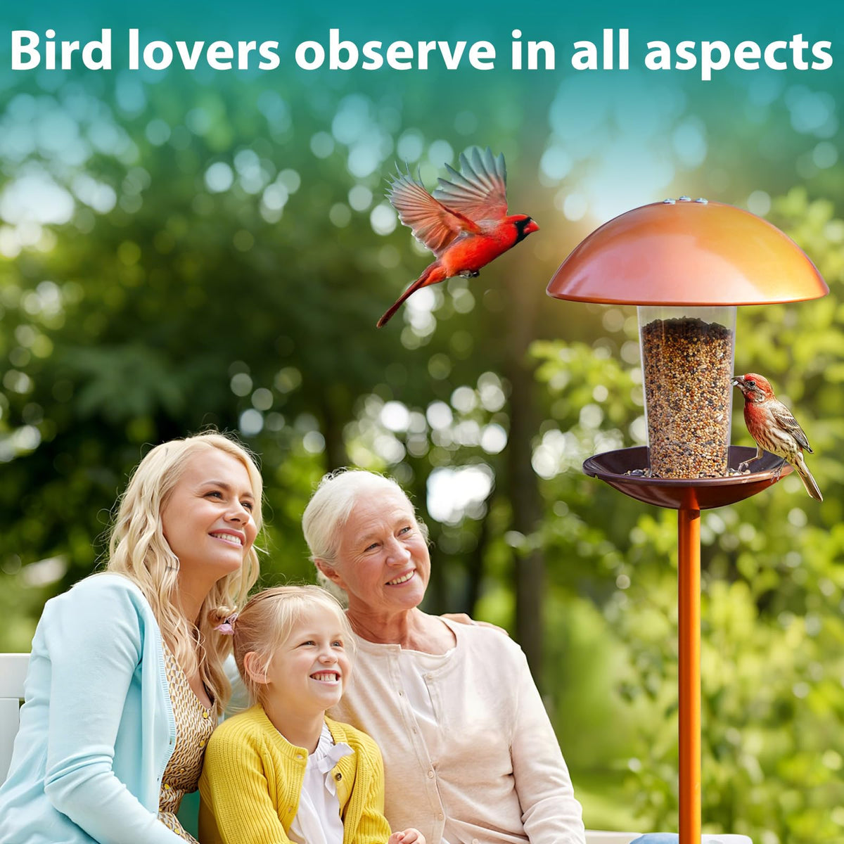 Goodeco weather-resistant bird feeder stands up to rain and sun.