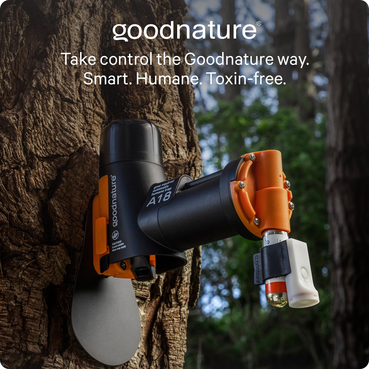 Rugged, weather-resistant trap outdoors in garden or woodlot setting.