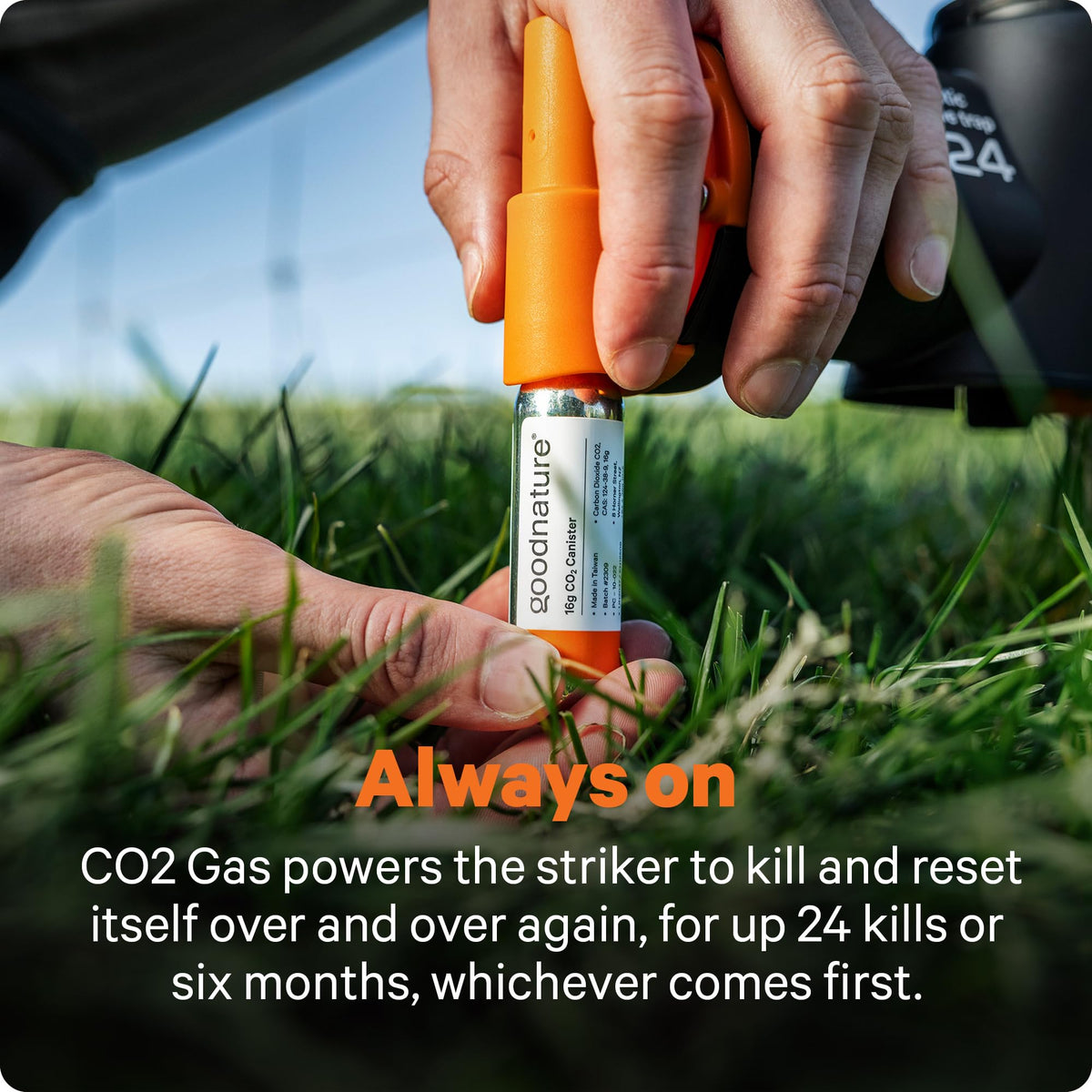 Goodnature Nut Butter paste pump in action for humane trapping