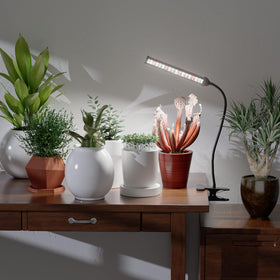 GooingTop energy-efficient 9W lamp lowers electricity use