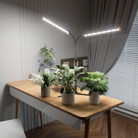 GooingTop 360-degree coverage concentrates light on multiple plants.