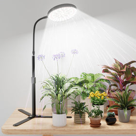 GooingTop grow light desk setup provides steady indoor illumination for thriving houseplants.
