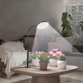 GooingTop plant room setup with compact form and stable illumination.