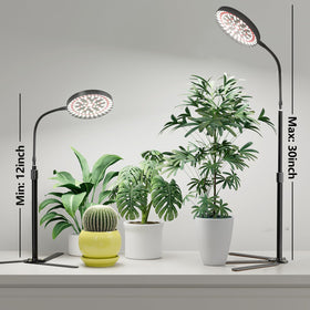 GooingTop seedling-friendly lamp supports germination and growth through stages.