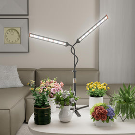 GooingTop makes a thoughtful winter/spring gift for indoor gardeners.