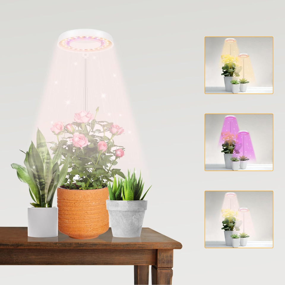 GooingTop LED Grow Light halo ring provides even illumination for indoor plants.