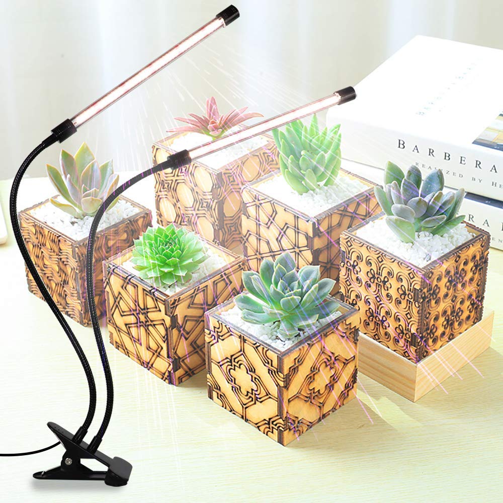 GooingTop grow light on indoor plants supports balanced growth.