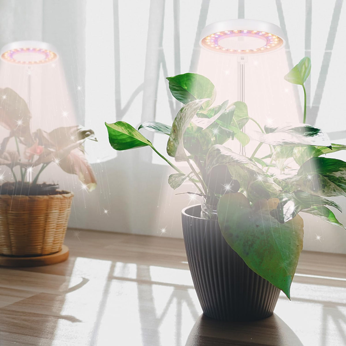 GooingTop offers three-spectrum modes to match your plant’s needs.