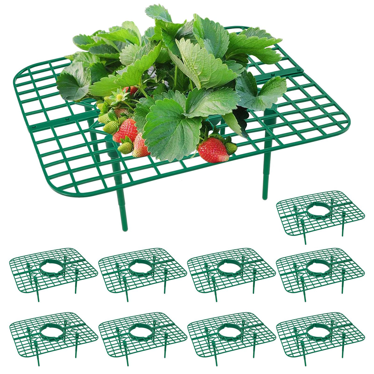 GOONMILL strawberry plant support stand keeps plants upright for steady growth.