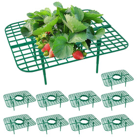 GOONMILL strawberry plant support stand keeps plants upright for steady growth.