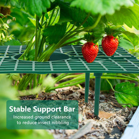 GOONMILL PP material highlights durable, reusable strawberry stands.