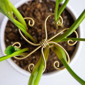 Versatile climbing plant solution from Goooxim showcased
