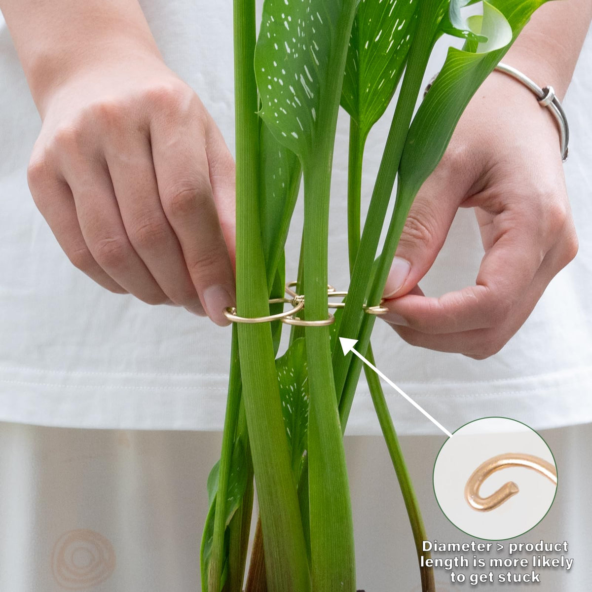 Tool-free installation wraps around the plant stem.