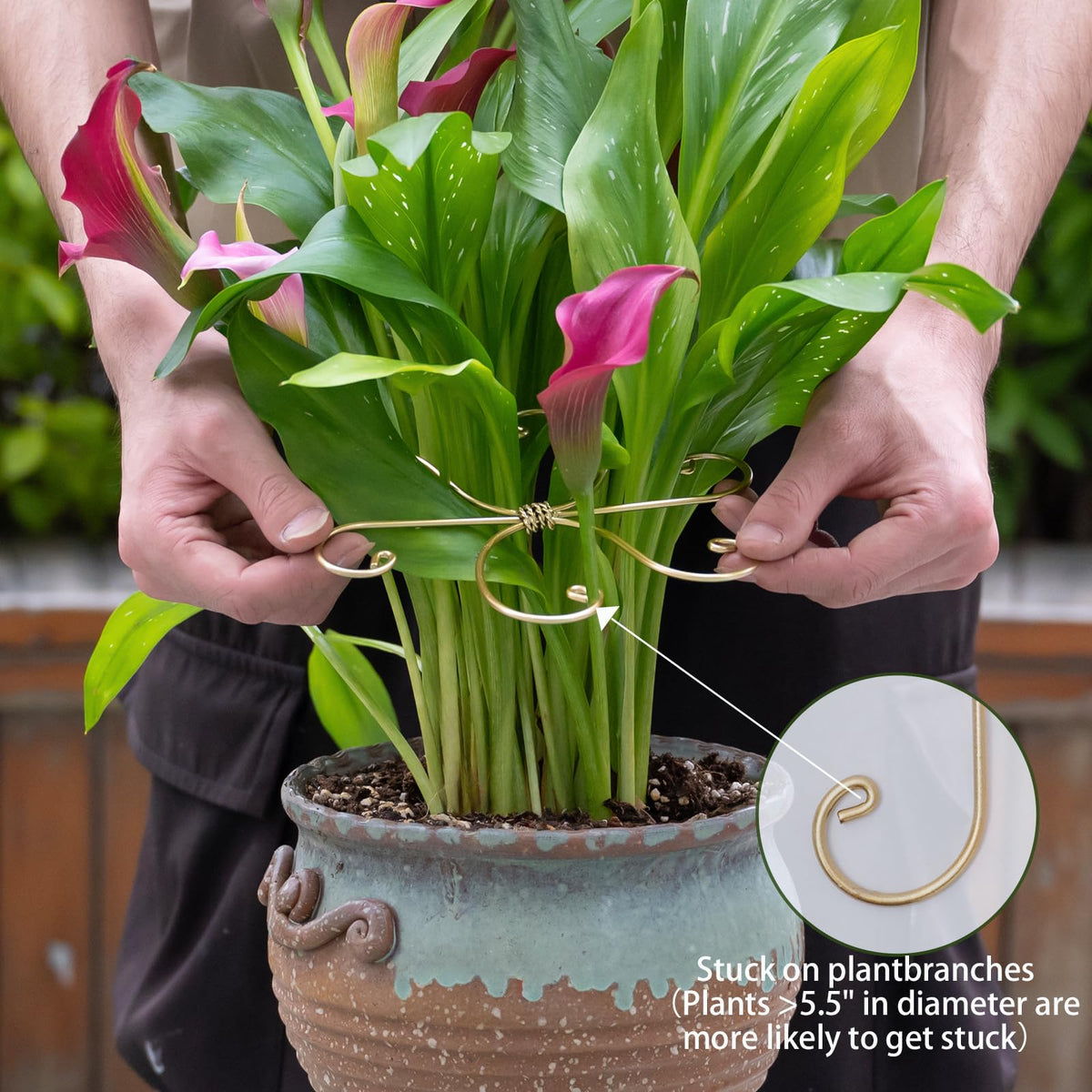 Goooxim Fishbone cactus stake clip supports climbing stems safely.