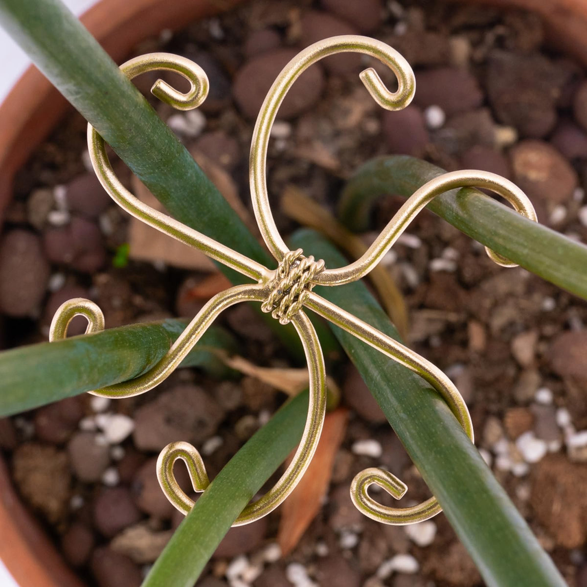 Home decor ready plant support blends with interior design.
