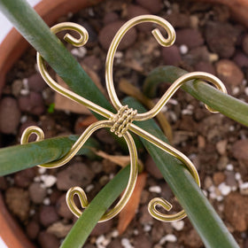 Home decor ready plant support blends with interior design.