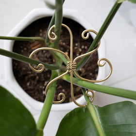 Goooxim home garden stabilizers support leafy growth and aesthetics.