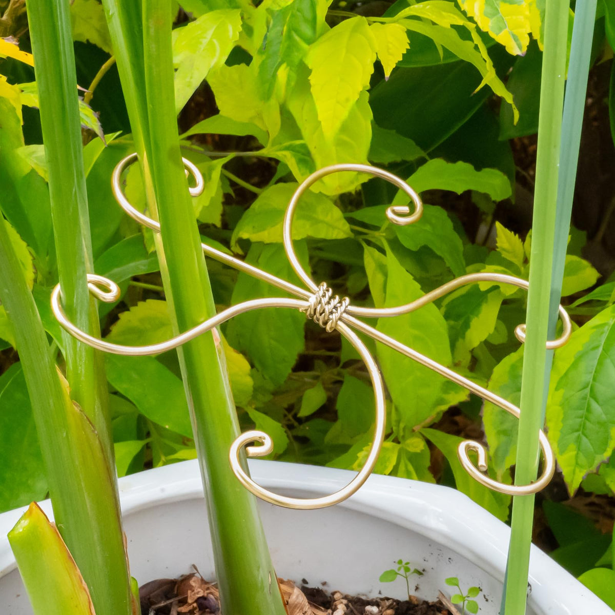 Goooxim indoor plant support installation made easy for quick setup.