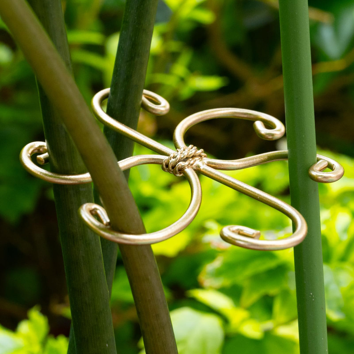 In-use view showing Monstera stabilized with Goooxim hook.