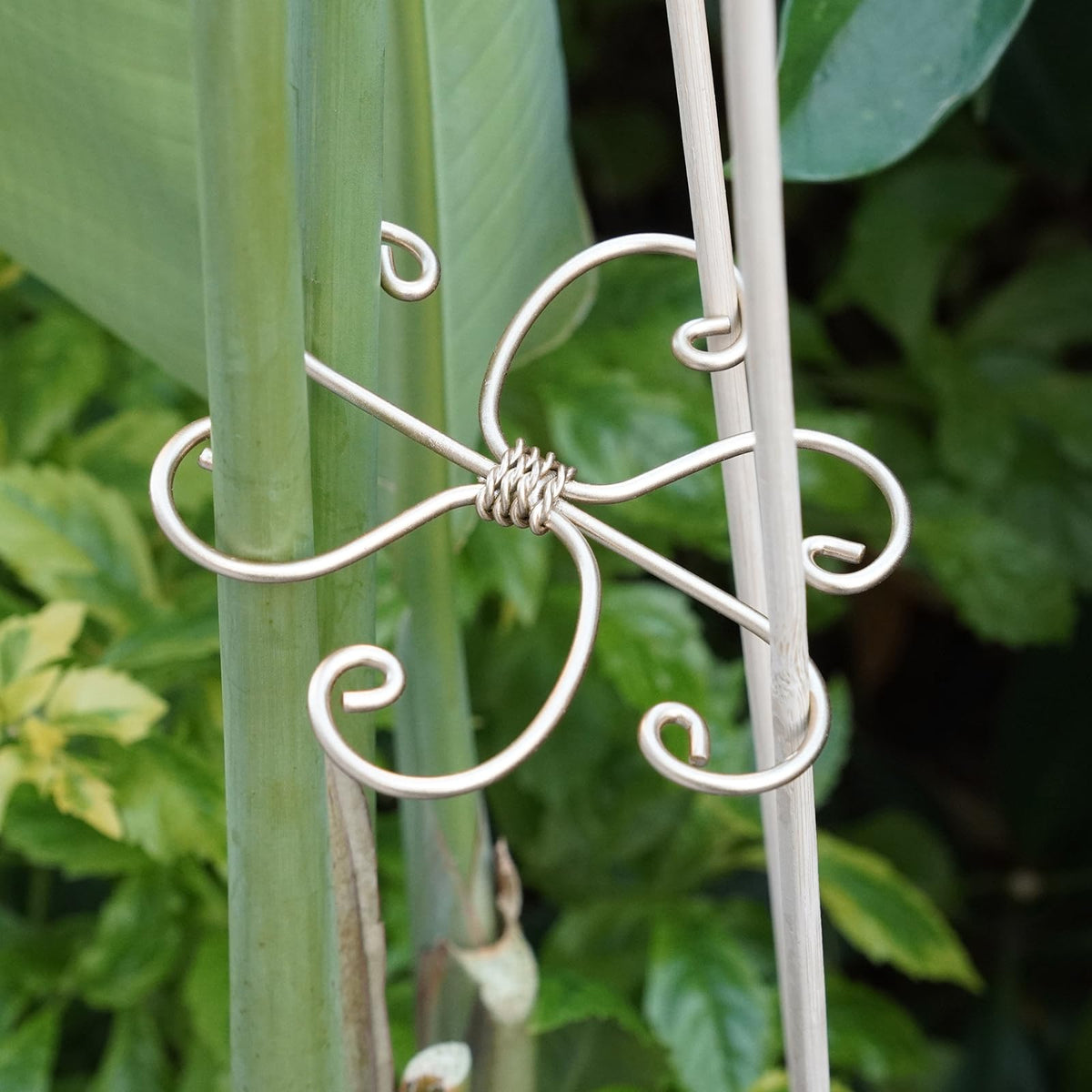 Goooxim Monstera stem fastener guides stems safely upward.